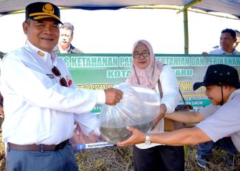 DKP3 Banjarbaru Lepaskan 5.000 Benih Ikan Gurami untuk Melestarikan Ekosistem Perairan