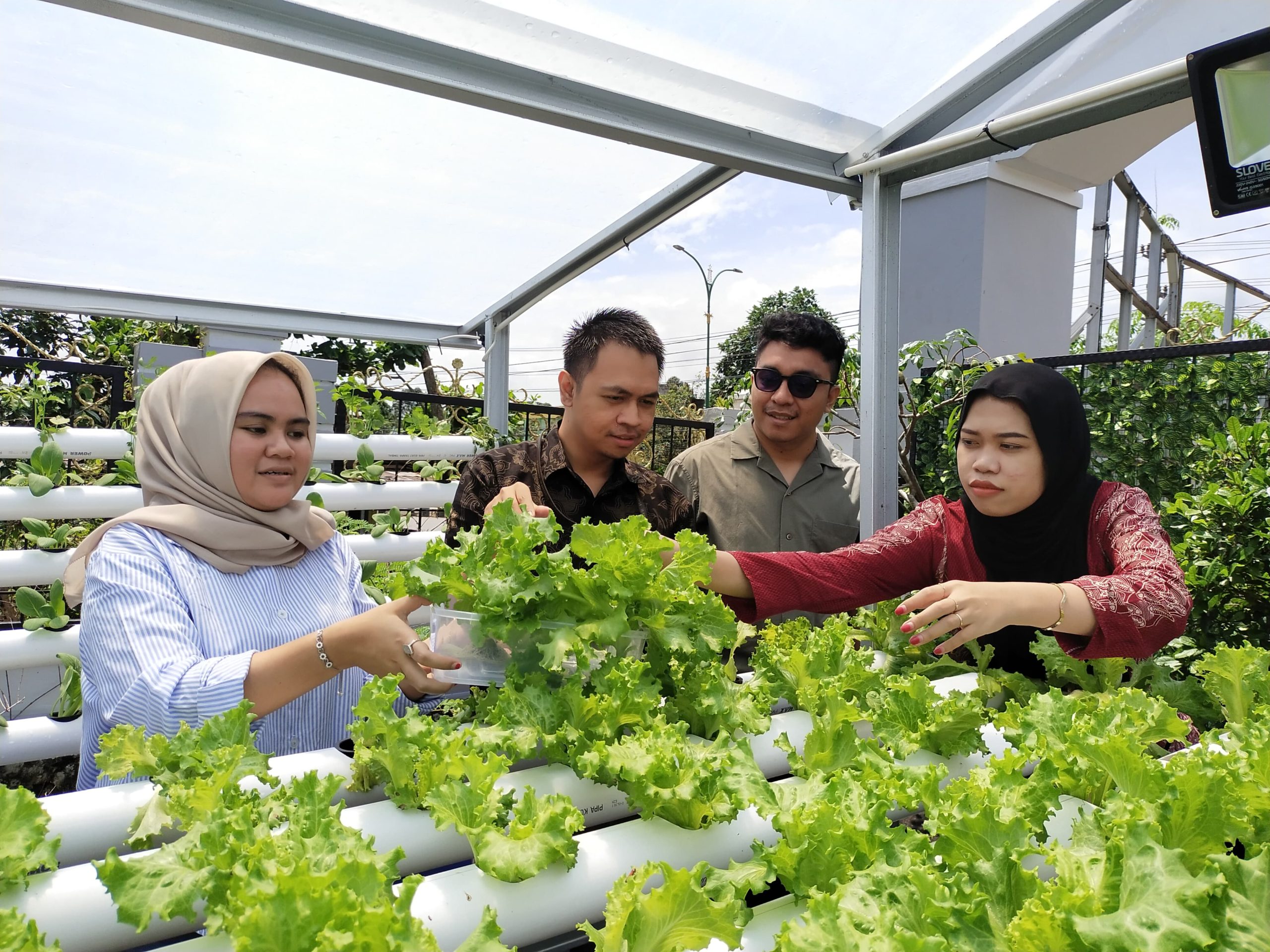 IAD Tabalong Ciptakan Kebun Hidroponik dan Tanaman Obat Keluarga (TOGA) di Halaman Kejaksaan Negeri Tabalong