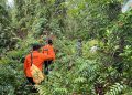 Tujuh Hari Pencarian, Anggota Tim Rehabilitasi DAS PT BP Masih Hilang di Hutan Kapuas