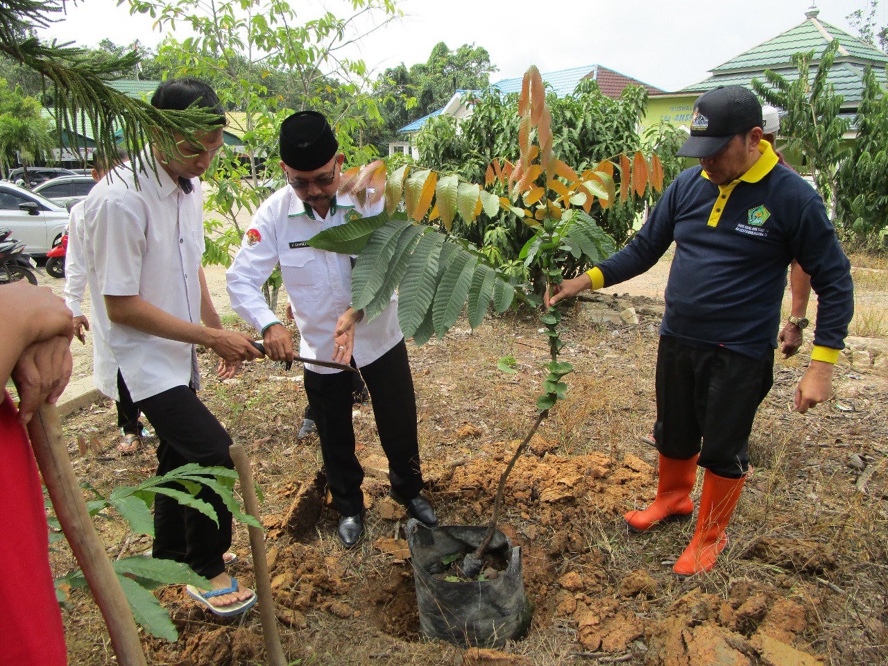 Gerakan Satu Juta Pohon, Kemenag Balangan Hijaukan Lingkungan