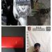 Bobol Rumah Saat Kosong, Pria di Banjarmasin Timur Ditangkap Polisi