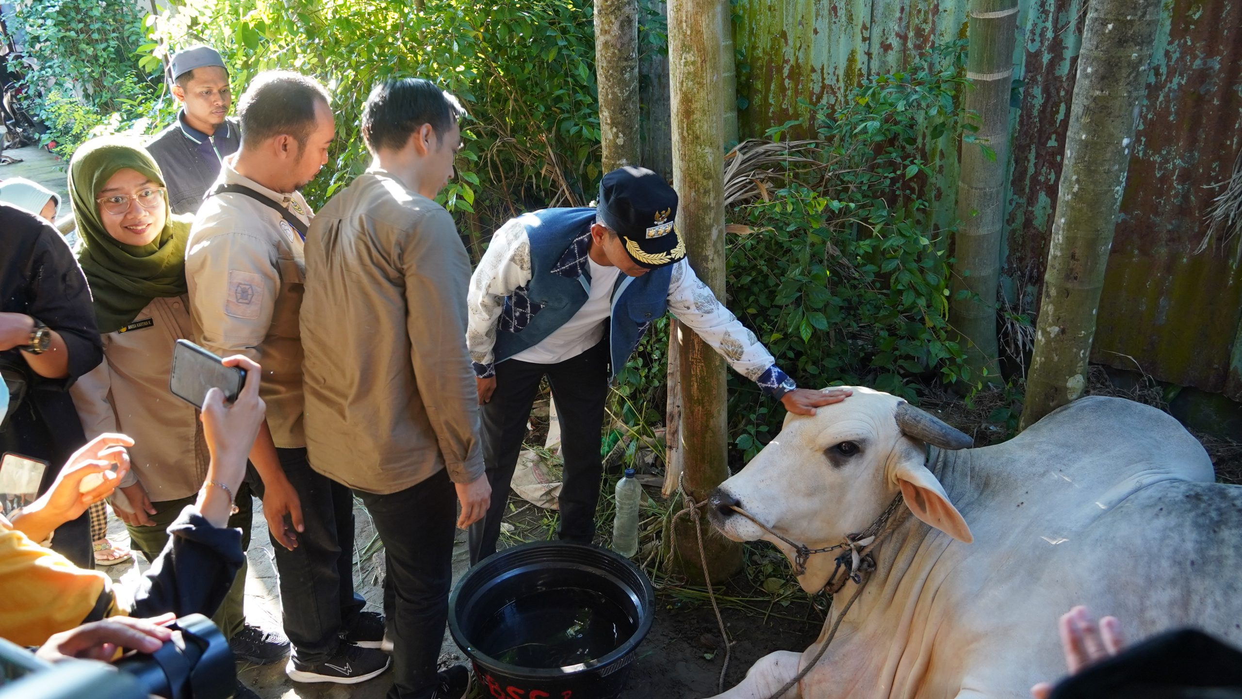 Idul Adha 1446 H, Pemkot Banjarmasin Salurkan Kurban Presiden di Masjid Sultan Suriansyah