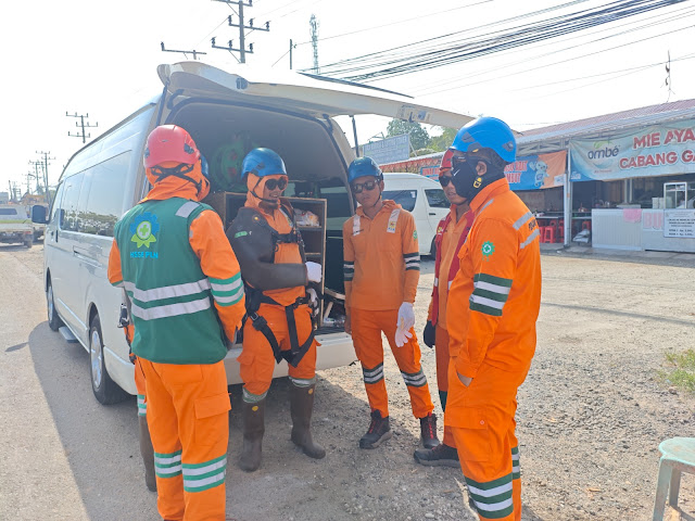 Tanpa Padam, PLN Lakukan Pemeliharaan Jaringan Listrik di Jalur Strategis Trans Kalimantan
