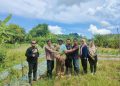 Panen Melimpah, Poktan Bukit Porang Petik Hasil Bimbingan BPP