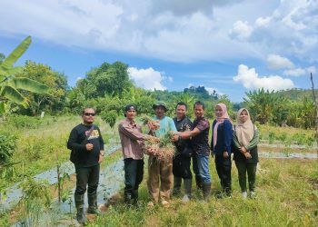 Panen Melimpah, Poktan Bukit Porang Petik Hasil Bimbingan BPP