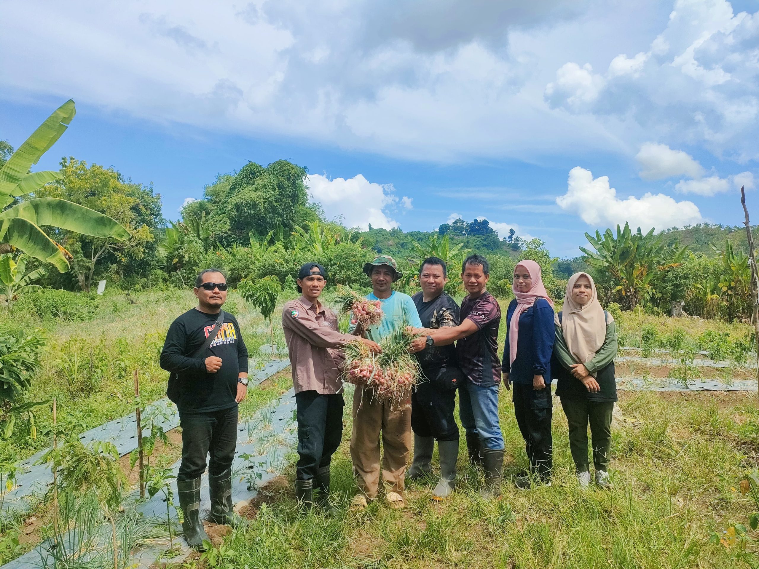 Panen Melimpah, Poktan Bukit Porang Petik Hasil Bimbingan BPP