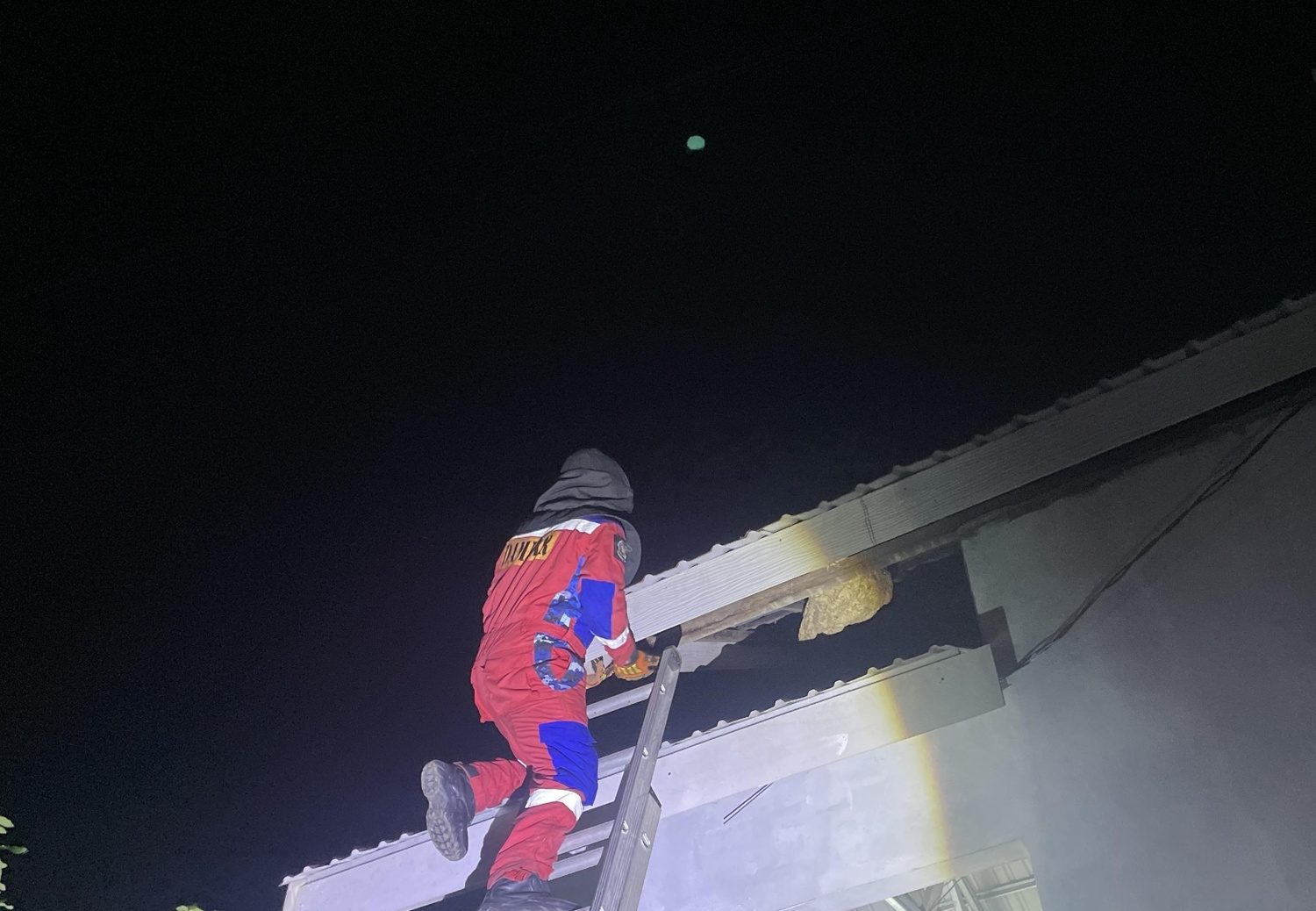 Damkar Banjar Tangani Sarang Tawon Vespa di Atap Rumah Warga