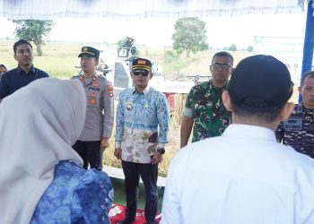 Rembuk Tani dan Panen Padi BAMARA, Pemkot Banjarmasin Teguhkan Ketahanan Pangan