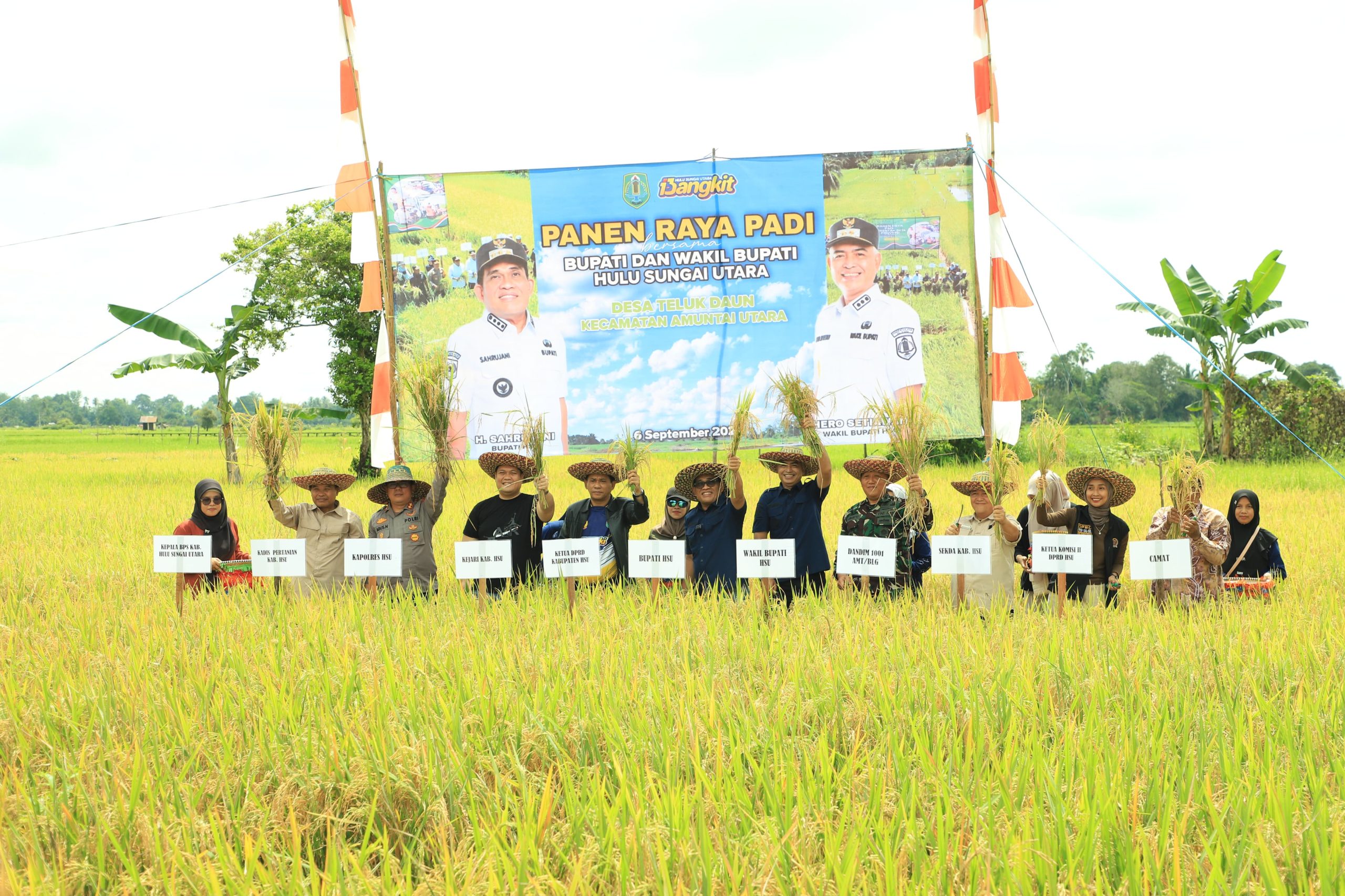 Bupati HSU Sahrujani Pimpin Panen Raya Padi di Desa Teluk Daun, Realisasi Capai 118,90 Persen
