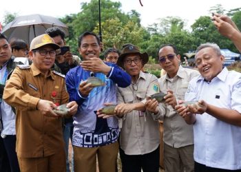 Pemkab Banjar Panen Ikan Papuyu, Potensi Ekonomi Lokal Kian Menggeliat