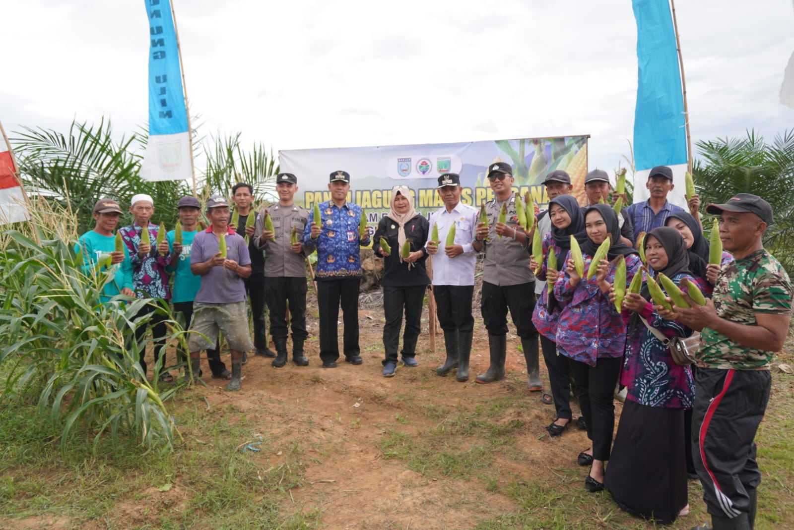 Camat Mataraman Apresiasi Panen Jagung Manis Desa Gunung Ulin sebagai Wujud Ketahanan Pangan