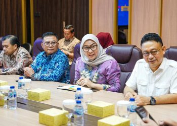 Perkuat Sinergi Pusat dan Daerah, Erna Lisa Dorong Pembangunan Kalimantan yang Berkeadilan dan Inklusif