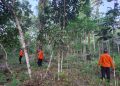 Basarnas Banjarmasin Kerahkan Tim untuk Cari Anak 2,5 Tahun yang Diduga Hilang di Malinau