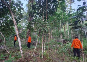Basarnas Banjarmasin Kerahkan Tim untuk Cari Anak 2,5 Tahun yang Diduga Hilang di Malinau