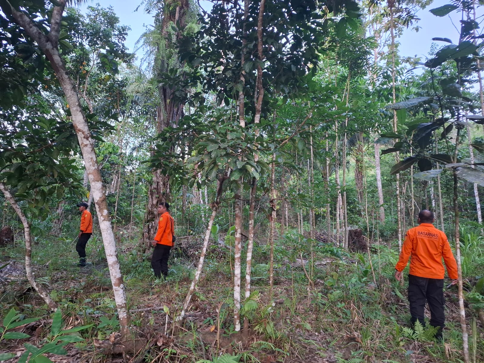 Basarnas Banjarmasin Kerahkan Tim untuk Cari Anak 2,5 Tahun yang Diduga Hilang di Malinau