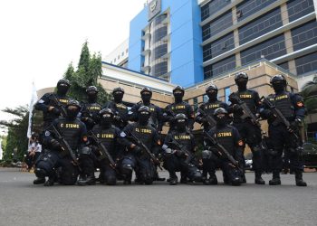 Sinergi Bea Cukai dan Aparat Bongkar Jaringan Rokok Ilegal di Perbatasan