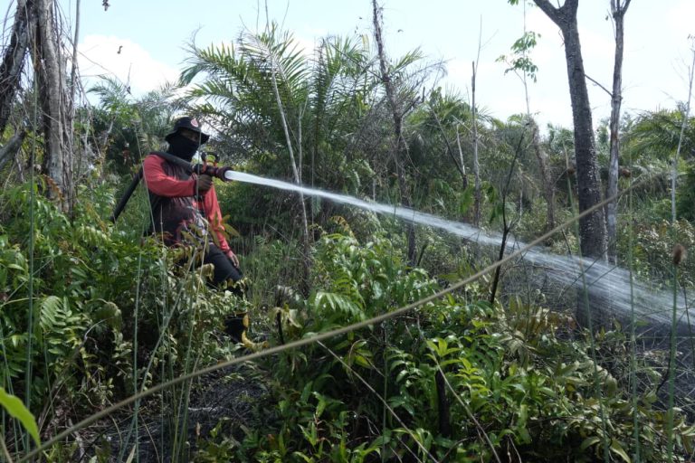 BPBD Palangka Raya Tangani Karhutla di Tiga Titik Wilayah Kota