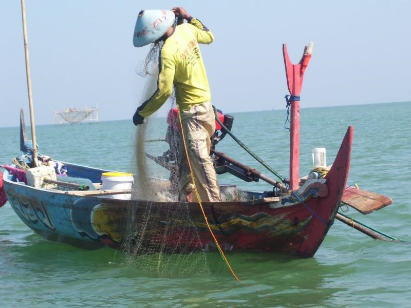 Produksi Ikan Menurun, Kalsel Perkuat Penanganan Illegal Fishing