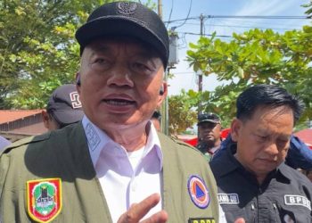 Gubernur Kalsel Tinjau Banjir di Sungai Tabuk, Serahkan Bantuan dan Sambut Kunjungan Wapres