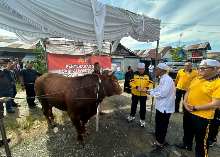 Dukung Haul Guru Zuhdi ke-6, Kapolda Kalsel Serahkan Sapi dan Turunkan Ratusan Personel Pengamanan