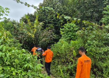 Pencarian Tiga Hari Berbuah Hasil, Warga Hilang di Teweh Baru Ditemukan Selamat