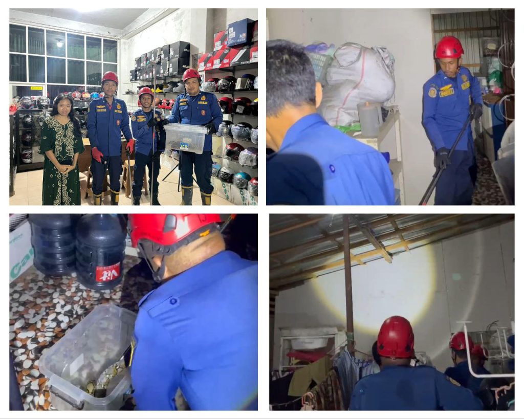 Damkar Kalsel Catat 704 Kebakaran dan 6.043 Penyelamatan Selama 2025