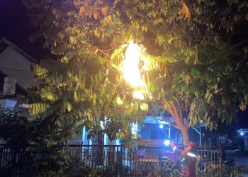 Respon Cepat Damkar Banjar Tangani Laporan Lebah dan Tawon Vespa di Permukiman Warga