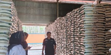 Cadangan Pangan Balangan Masih Aman, Pemda Siapkan Tambahan 52 Ton Tahun Ini