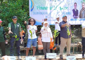 Aksi Hijau Tanah Bumbu! 6.600 Mangrove Ditanam untuk Selamatkan Pesisir dan Ekonomi