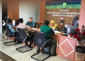 SI PIYAN SATU Permudah Layanan Kepegawaian ASN di Balangan