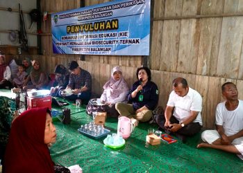 DKP3 Balangan Beri Penyuluhan Biosecurity dan Beternak Kambing kepada Kelompok Tani di Awayan