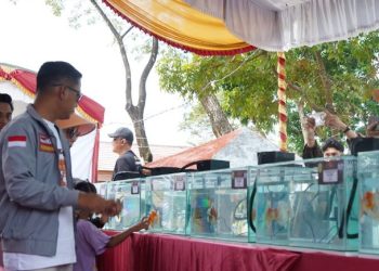 Kontes Ikan Hias Wali Kota Cup 2026 Satukan Komunitas Penghobi dari Berbagai Daerah