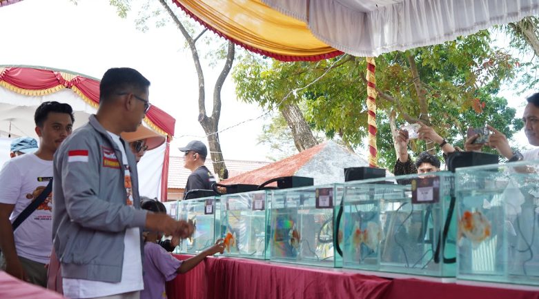 Kontes Ikan Hias Wali Kota Cup 2026 Satukan Komunitas Penghobi dari Berbagai Daerah