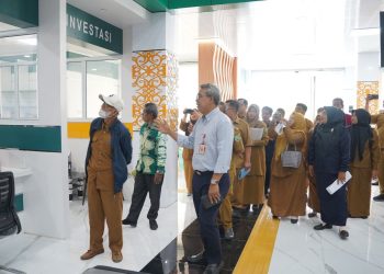 DPMPTSP Balangan Sosialisasikan Mal Pelayanan Publik ke Perangkat Desa