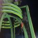 TRC BPBD Balangan Gelar Latihan Vertical Rescue Tingkatkan Kesiapsiagaan Bencana