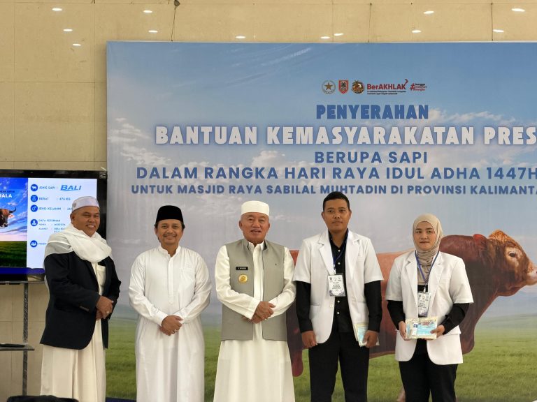 Sapi Kurban Presiden Berbobot 1 Ton Diserahkan ke Masjid Raya Sabilal Muhtadin