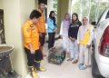 BPBD Balangan Serahkan Anak Bekantan ke KPH dan BKSDA
