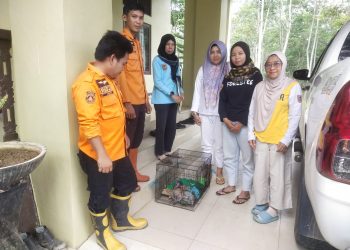 BPBD Balangan Serahkan Anak Bekantan ke KPH dan BKSDA