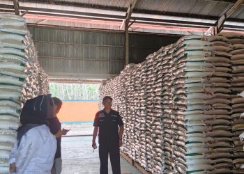 Cadangan Pangan Pemerintah Balangan Dipastikan Aman hingga Setahun ke Depan