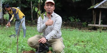 Kebun Raya Banua Kembangkan Penelitian Tumbuhan Obat Khas Kalimantan