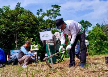 Peringati Hari Lingkungan Hidup, Karang Taruna Desa Balang Bagikan 1.500 Bibit Pohon Gratis