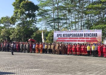 Cegah Karhutla Meluas, Satpol PP dan Damkar Kalsel Andalkan Kolaborasi dan Edukasi Masyarakat
