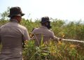 Karhutla di Banjarbaru Dipadamkan, 10 Personel Samapta Polda Kalsel Dikerahkan