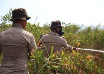 Karhutla di Banjarbaru Dipadamkan, 10 Personel Samapta Polda Kalsel Dikerahkan