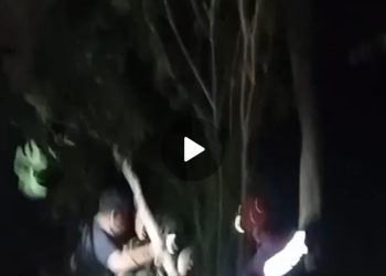Terkendala di Tengah Jalur, Tiga Pendaki Perempuan Dievakuasi Tim Gabungan
