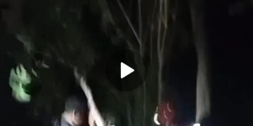 Terkendala di Tengah Jalur, Tiga Pendaki Perempuan Dievakuasi Tim Gabungan
