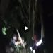 Terkendala di Tengah Jalur, Tiga Pendaki Perempuan Dievakuasi Tim Gabungan