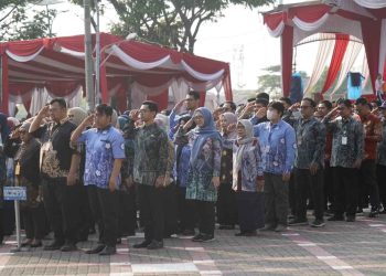 Puluhan Tahun Menanti, Jembatan Perintis Garuda Kini Permudah Aktivitas Warga Handil Bujur