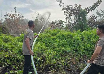 Karhutla Muncul di Pulau Bromo, Sat Polairud Polresta Banjarmasin Turun Tangan