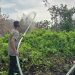 Karhutla Muncul di Pulau Bromo, Sat Polairud Polresta Banjarmasin Turun Tangan